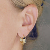 Barrel Chunky Medium Hoop Earrings