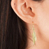 9ct Yellow Gold Dual Plume Earrings