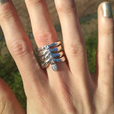 The Rib Cage Ring