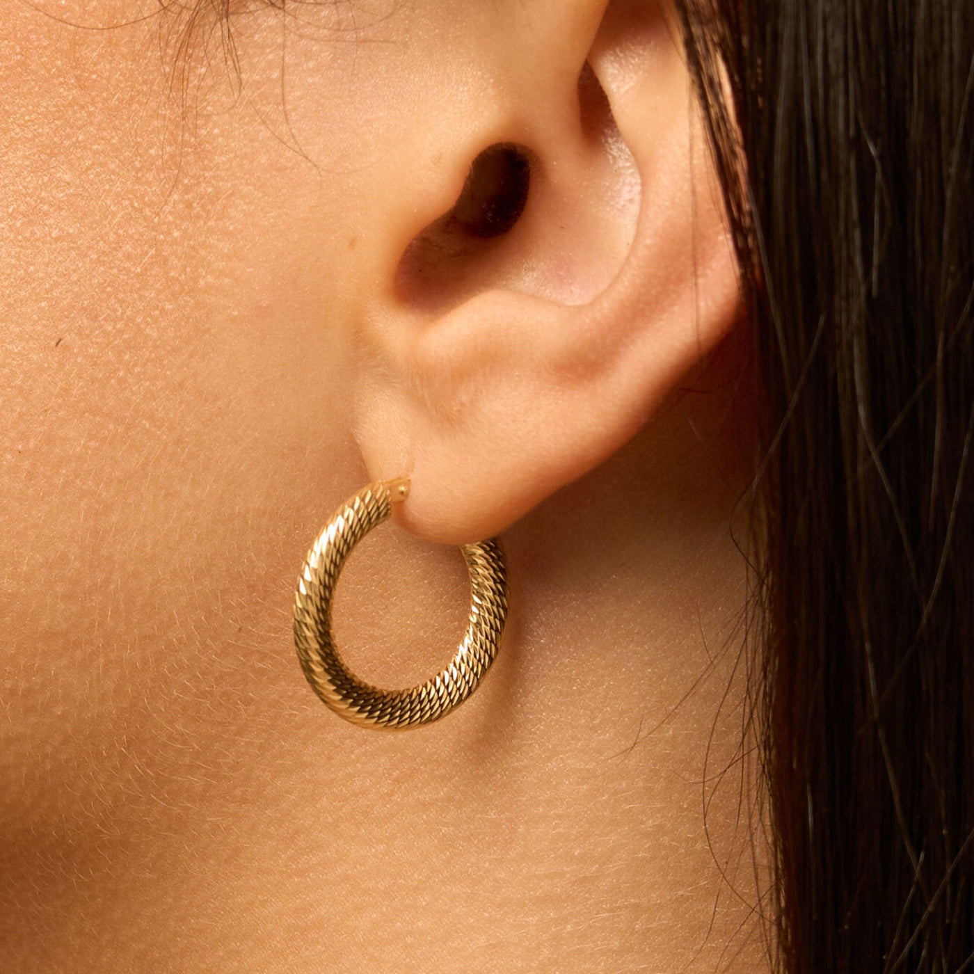 Textured Creole Medium Hoop Earrings