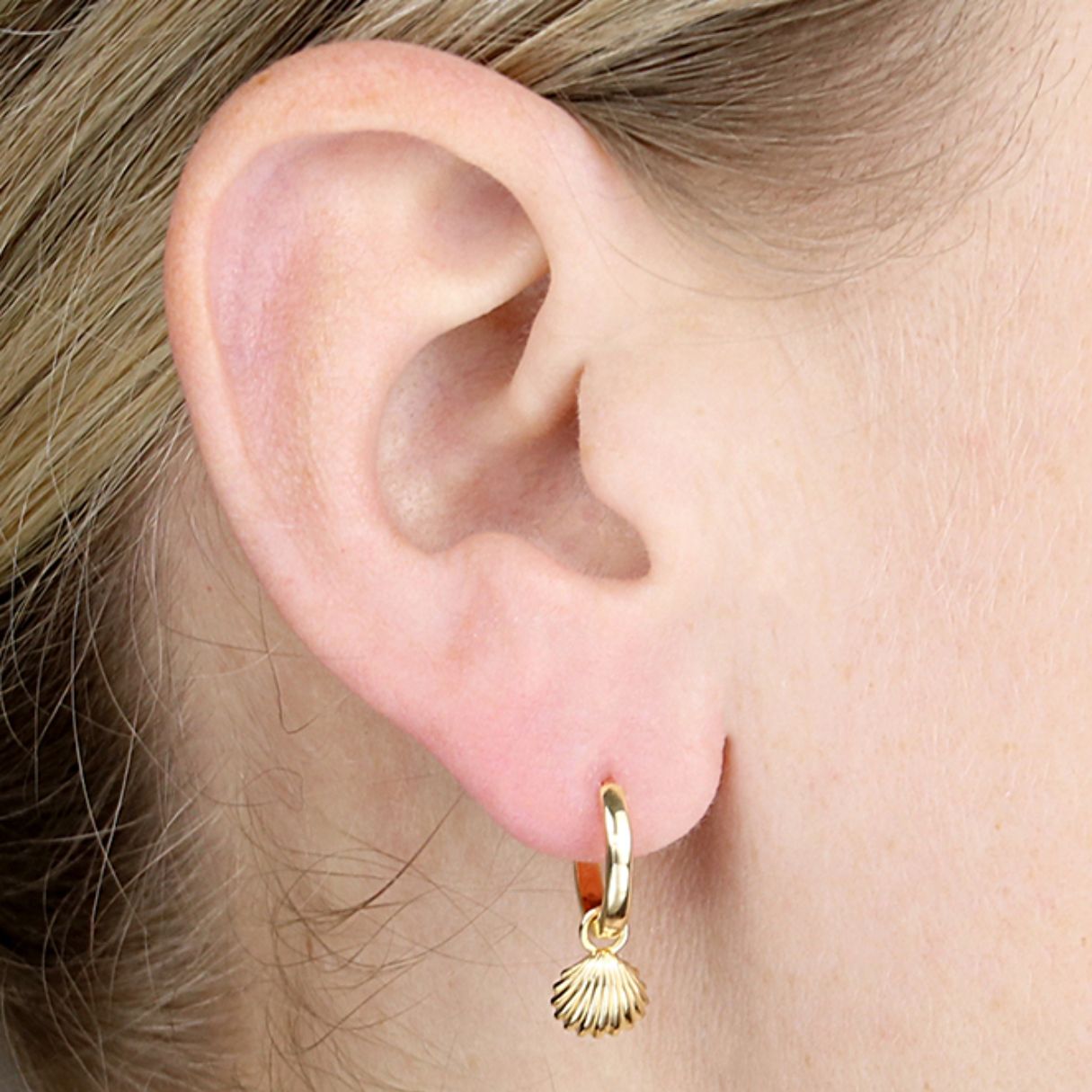 Shell Huggie Earrings